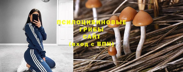 первитин Балахна